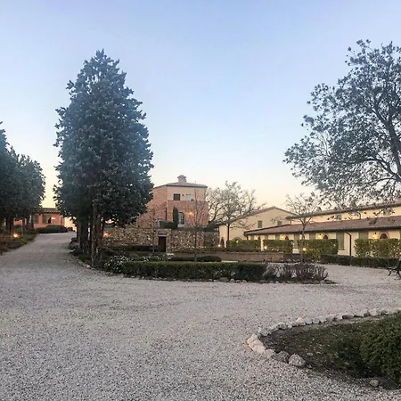 Cipresso Trequanda