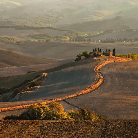 Cipresso * Trequanda